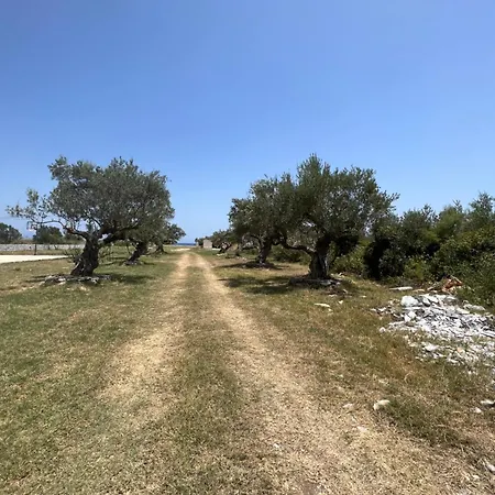 Villa Mani Kamares Estate