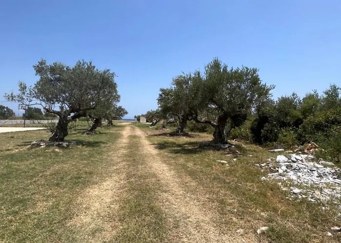 Villa Mani Kamares House